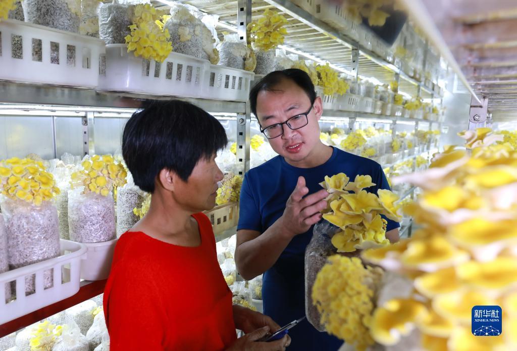 街机大满贯下载
